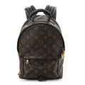 Louis Vuitton Monogram Palm Springs Backpack PM