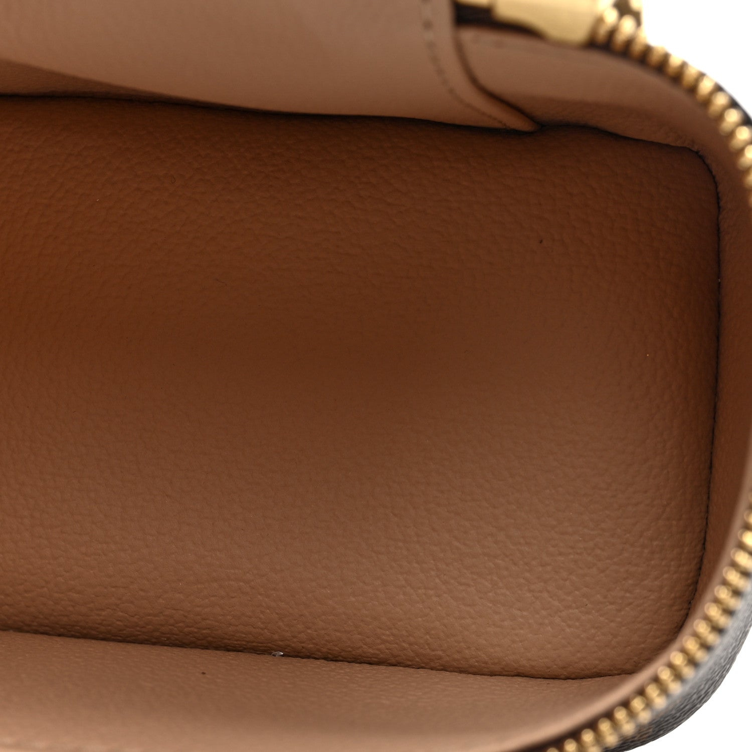 Louis Vuitton Monogram Nano Nice
