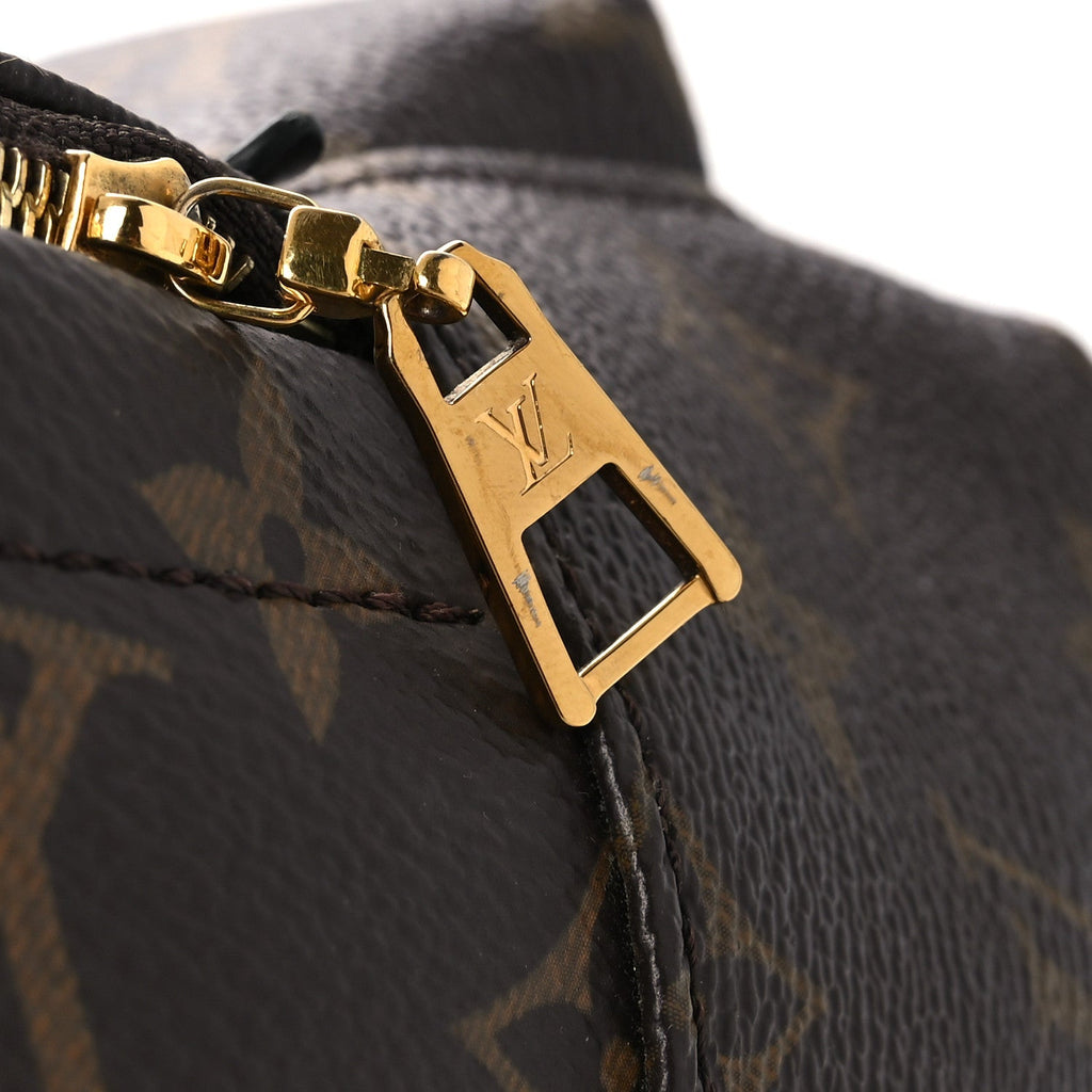 Louis Vuitton Monogram Palm Springs Backpack Mini