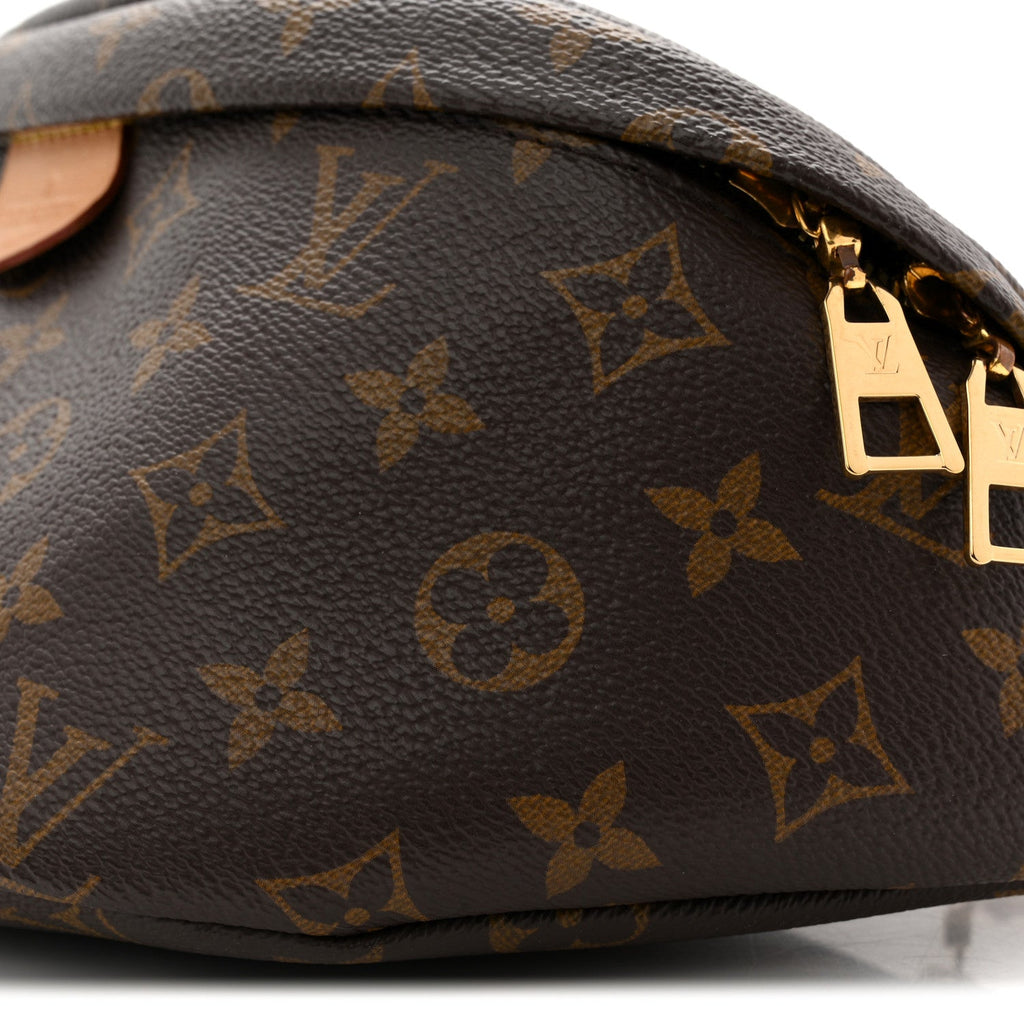 Louis Vuitton Monogram Bumbag