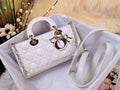 Dior Bags - 3742
