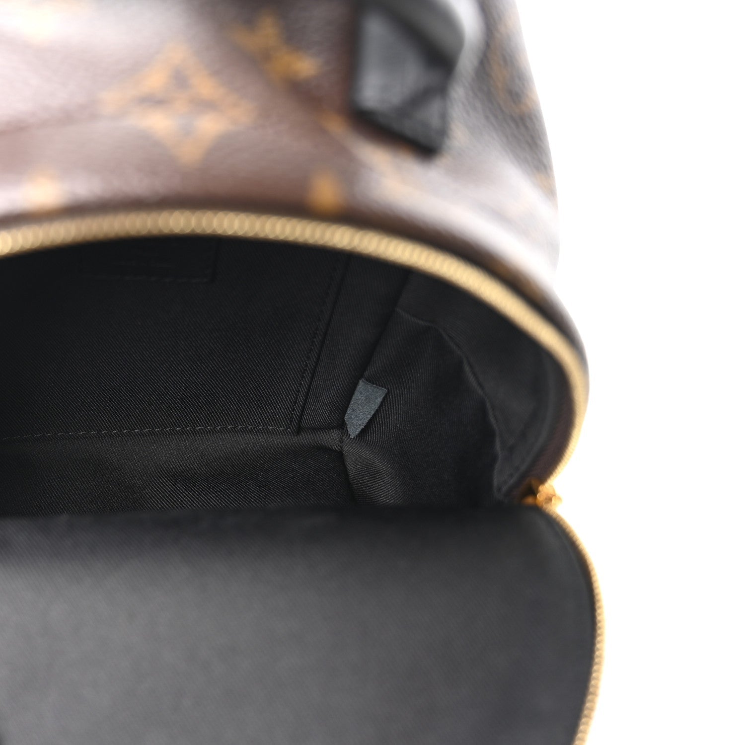 Louis Vuitton Monogram Palm Springs Backpack Mini