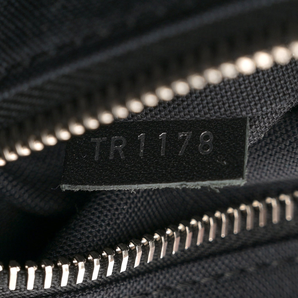 Louis Vuitton Monogram Macassar Christopher MM Backpack