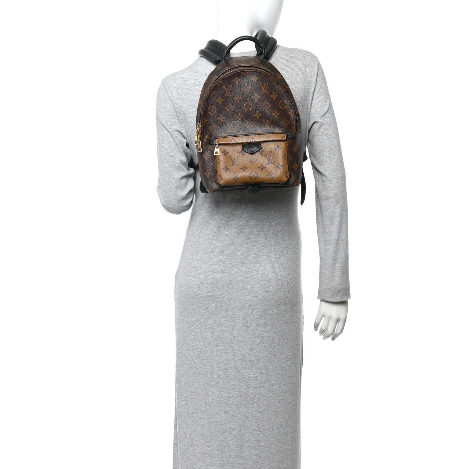 Louis Vuitton Reverse Monogram Palm Springs Backpack PM