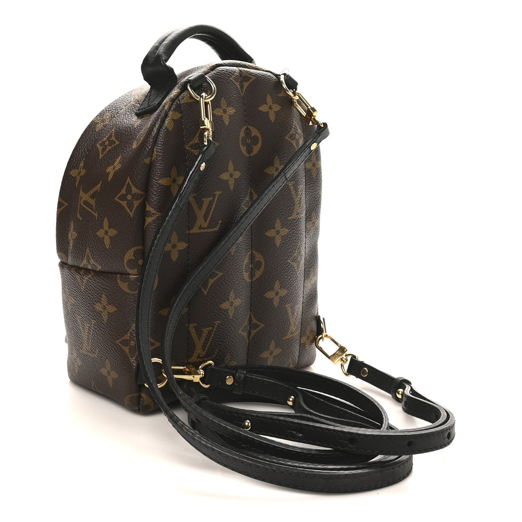 Louis Vuitton Monogram Palm Springs Backpack Mini