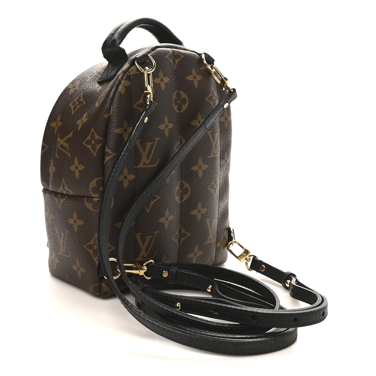 Louis Vuitton Monogram Palm Springs Backpack Mini