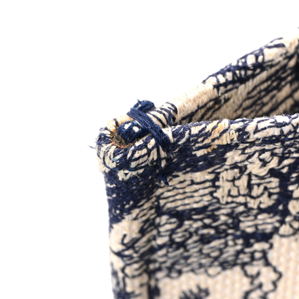Christian Dior Canvas Embroidered Medium Dioriviera Toile De Jouy Book Tote Blue