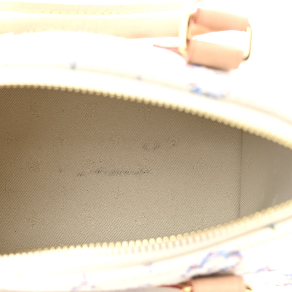 Louis Vuitton Monogram Jacquard Fabric Speedy Bandouliere 20 Multicolor Beige