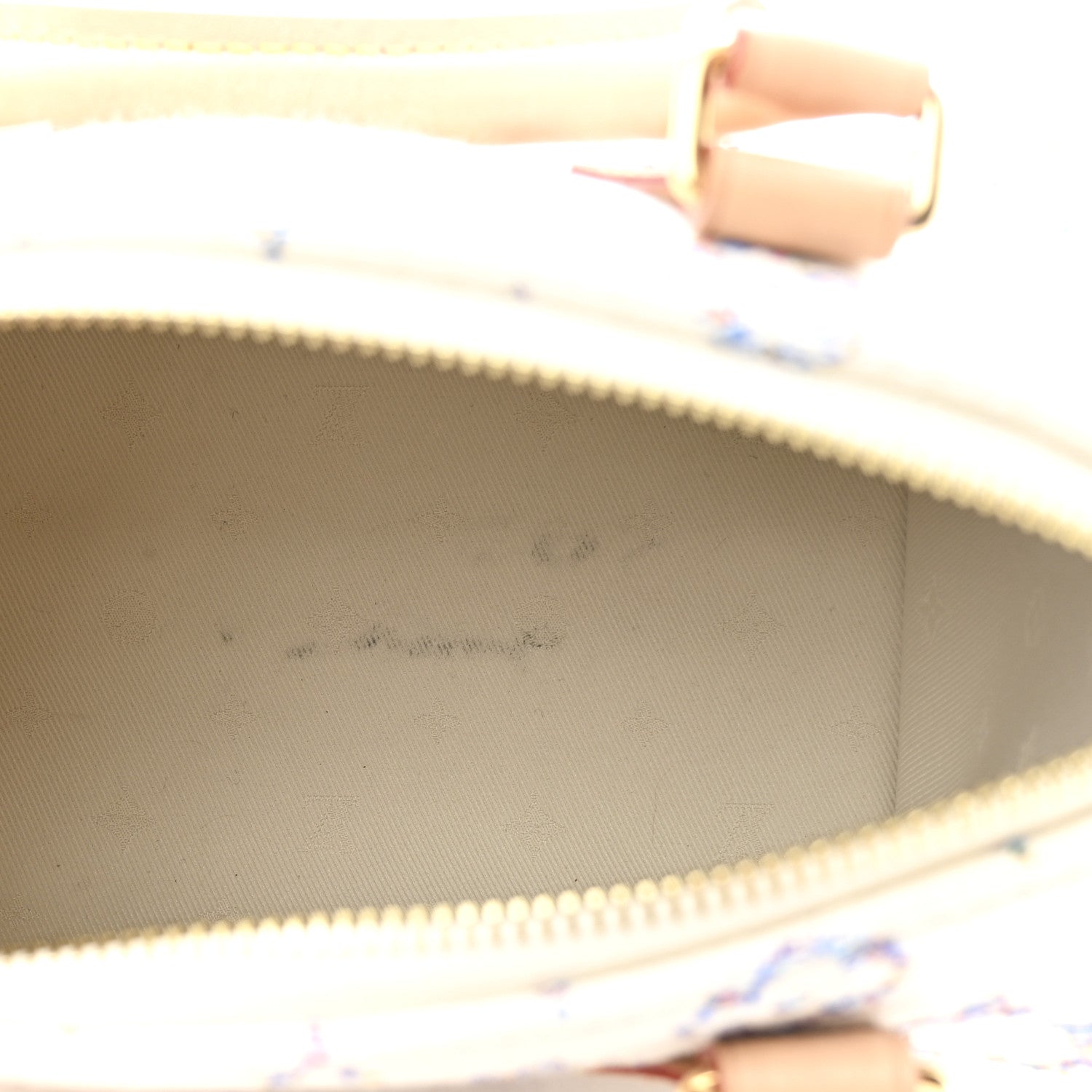 Louis Vuitton Monogram Jacquard Fabric Speedy Bandouliere 20 Multicolor Beige