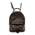 Louis Vuitton Monogram Palm Springs Backpack Mini