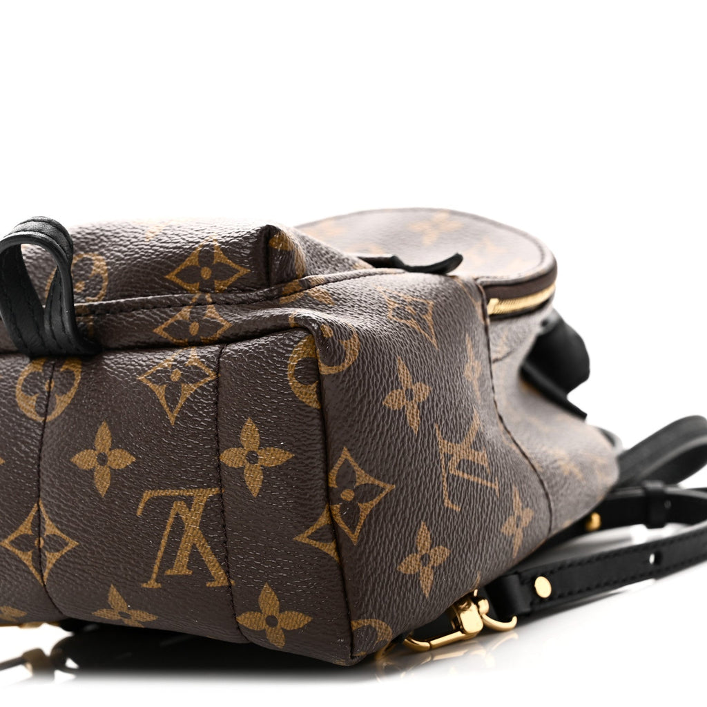 Louis Vuitton Monogram Palm Springs Backpack Mini
