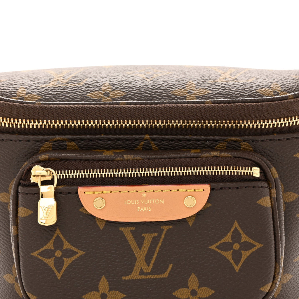 Louis Vuitton Monogram Mini Bumbag