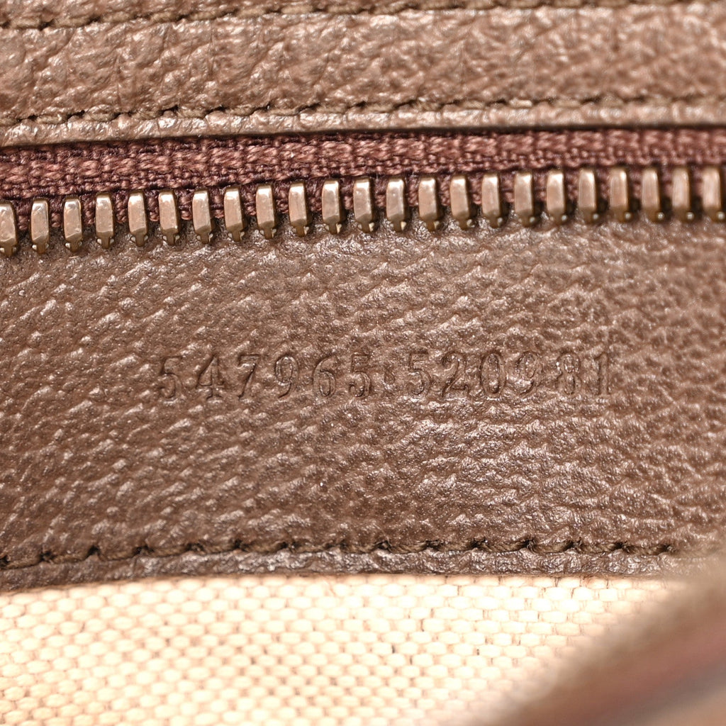 Gucci GG Supreme Monogram Textured Dollar Calfskin Web Small Ophidia Day Backpack Beige Ebony Fluorescent Fuchsia