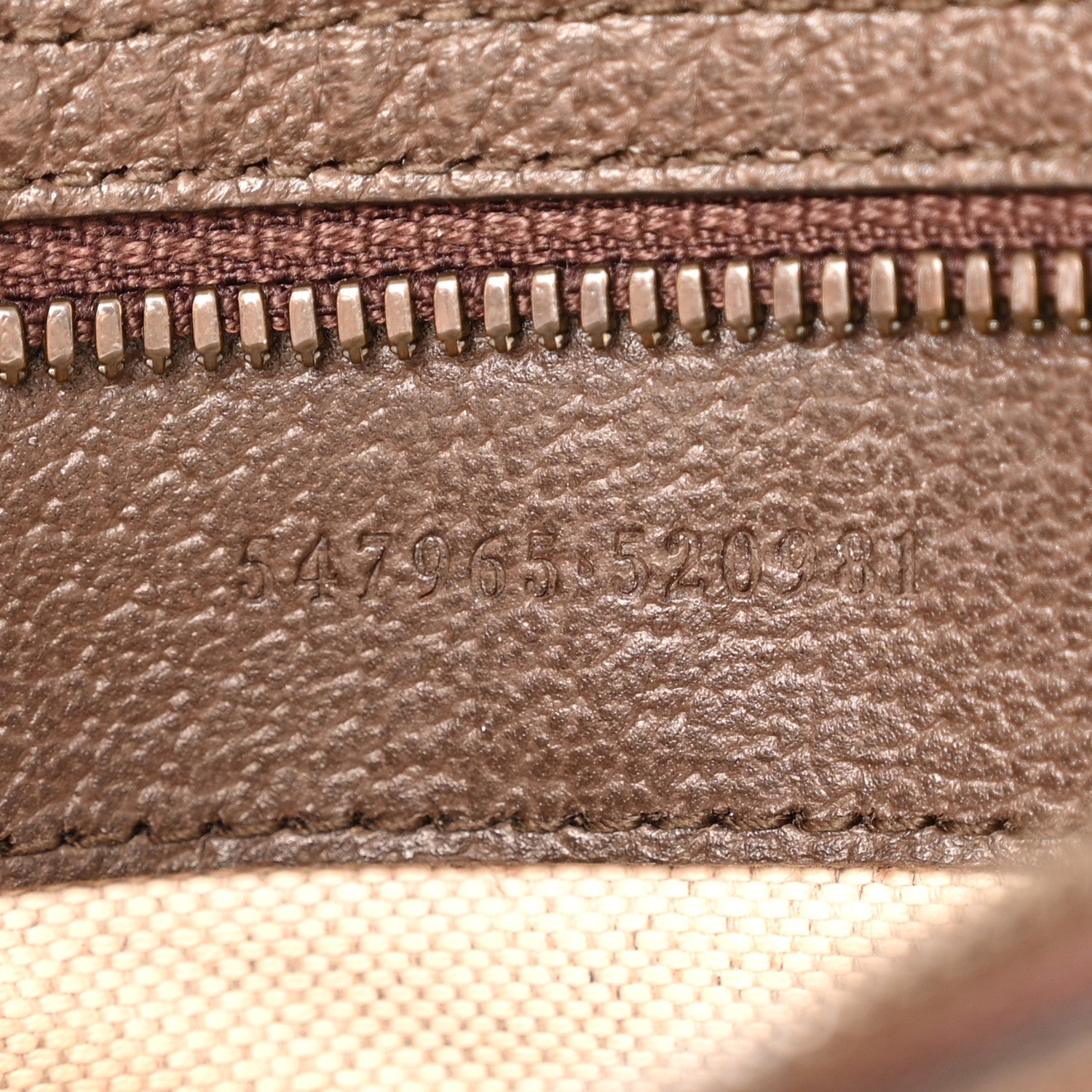 Gucci GG Supreme Monogram Textured Dollar Calfskin Web Small Ophidia Day Backpack Beige Ebony Fluorescent Fuchsia