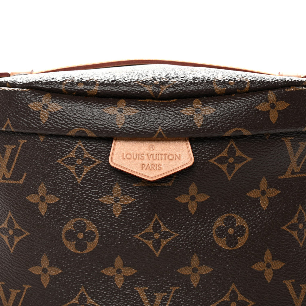 Louis Vuitton Monogram Bumbag