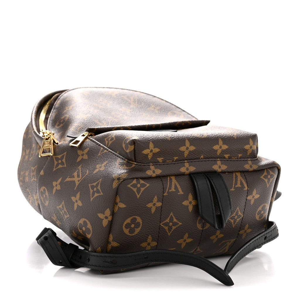 Louis Vuitton Monogram Palm Springs Backpack PM