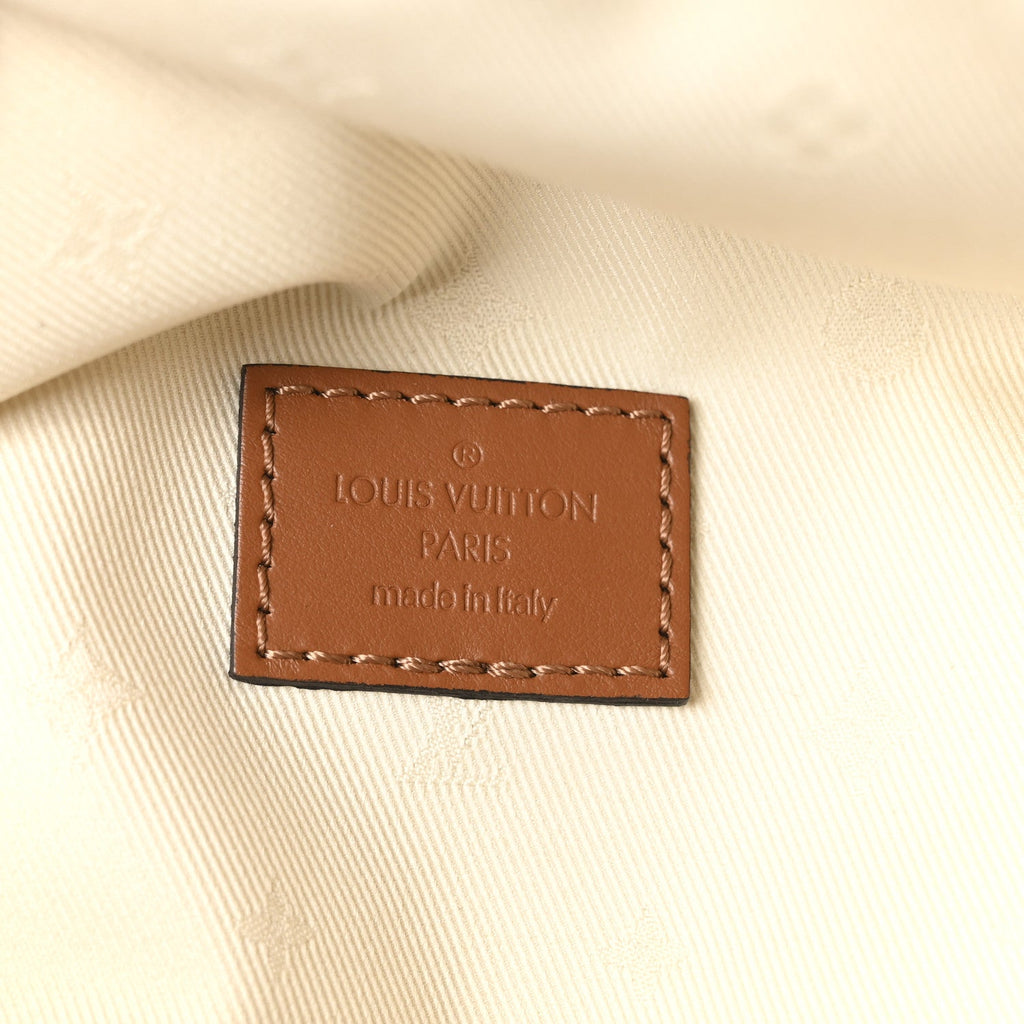 Louis Vuitton Monogram Teddy Bumbag