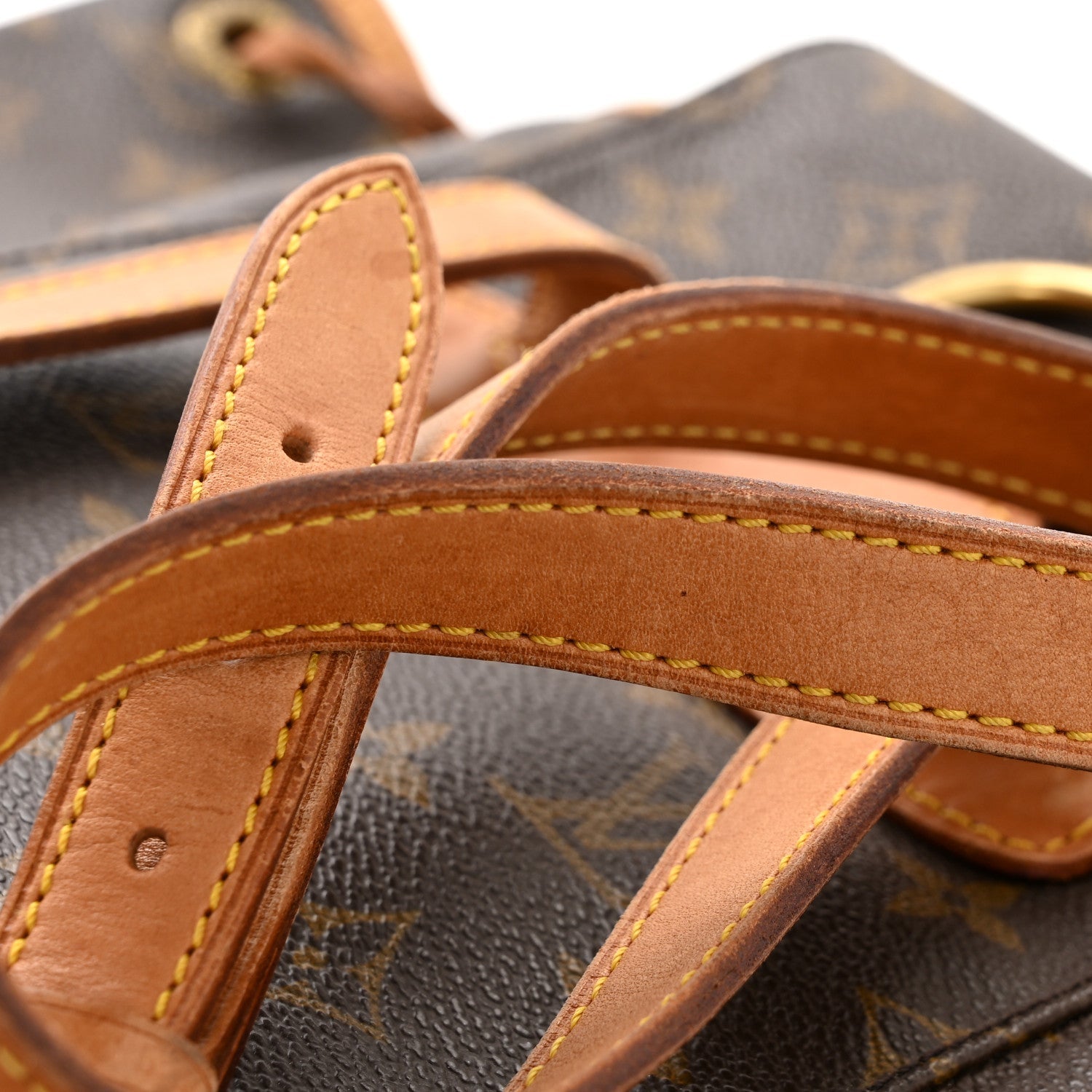 Louis Vuitton Monogram Montsouris MM Backpack