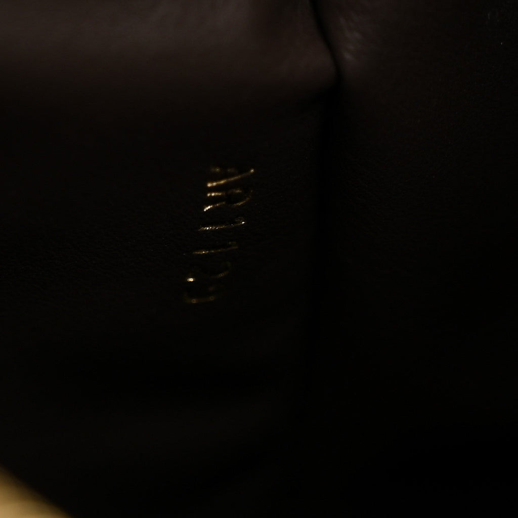 Louis Vuitton Taurillon Capucines PM Galet
