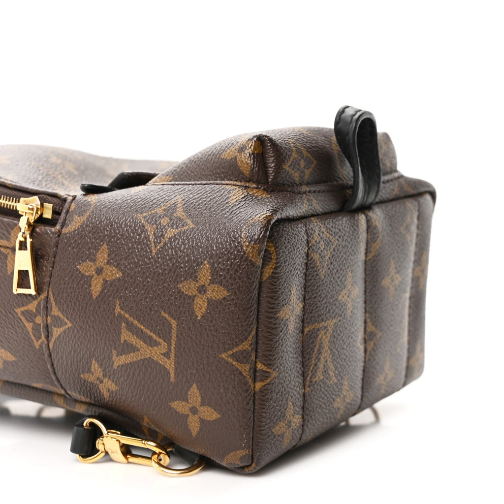 Louis Vuitton Monogram Palm Springs Backpack Mini