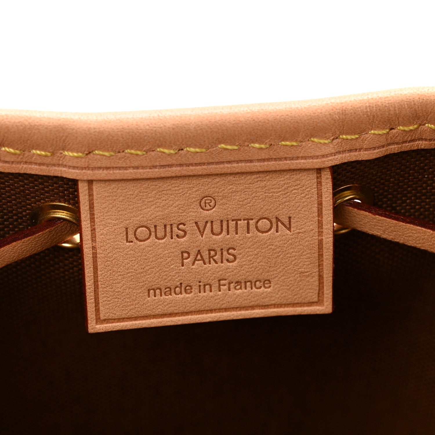 Louis Vuitton Monogram Nano Noe