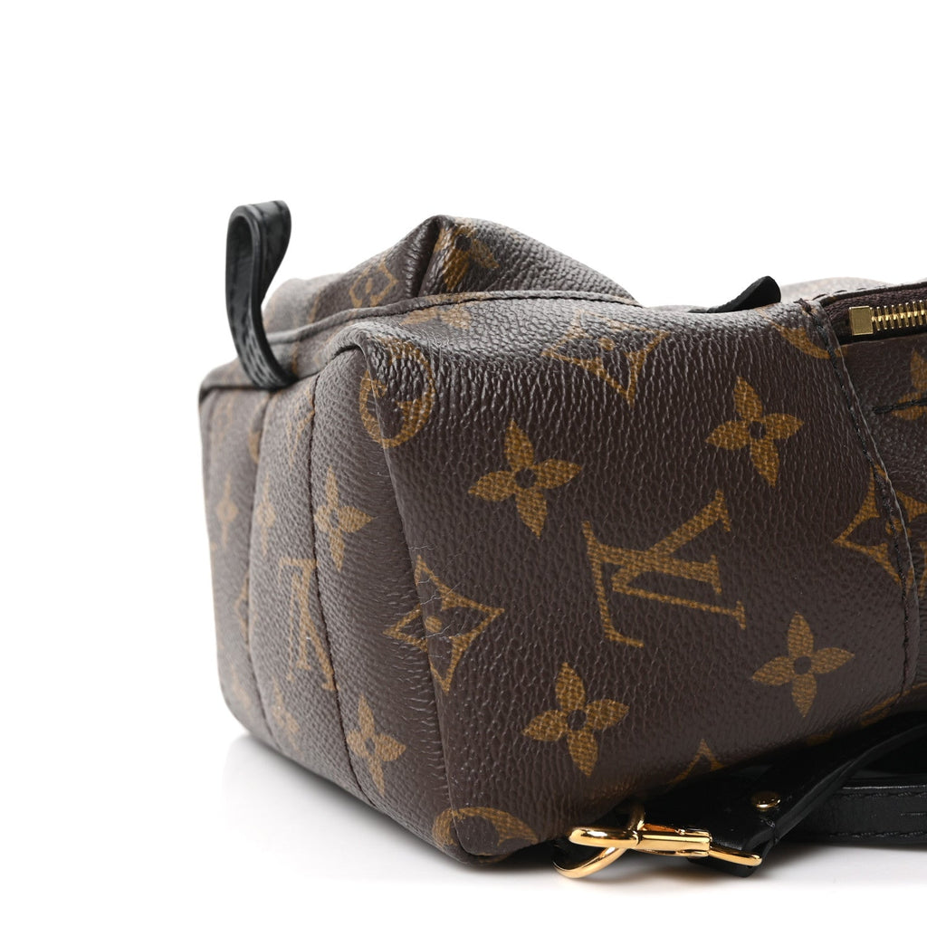 Louis Vuitton Monogram Palm Springs Backpack Mini