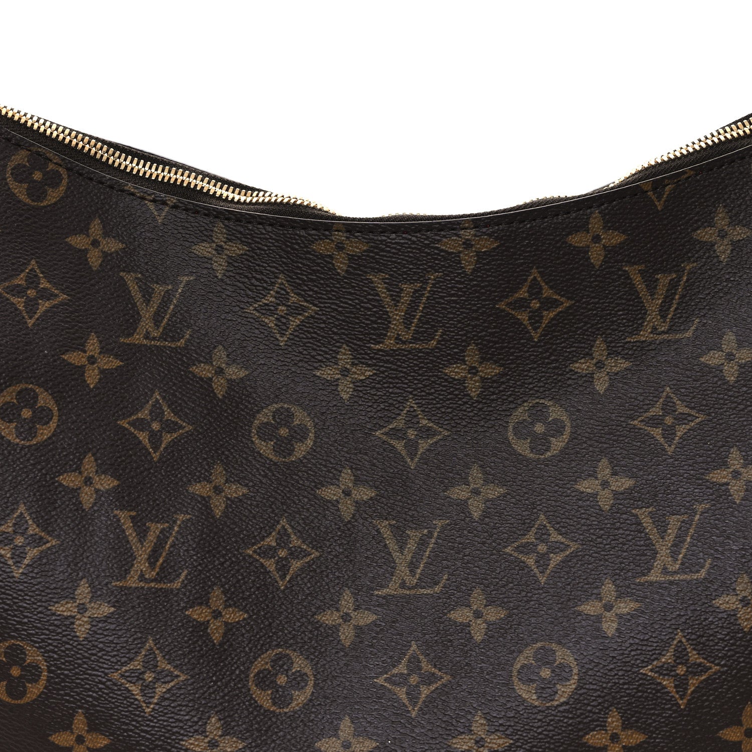 Louis Vuitton Monogram Slouchy