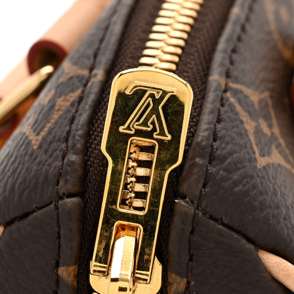 Louis Vuitton Monogram Speedy Bandouliere 20