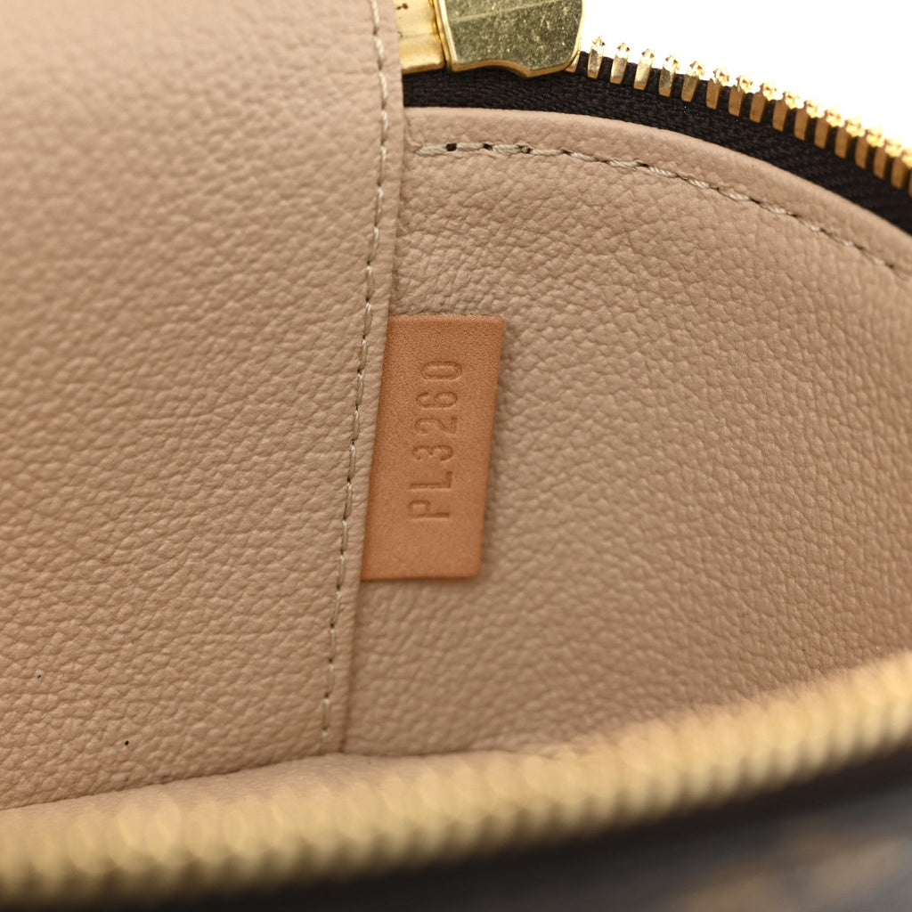 Louis Vuitton Monogram Nano Nice