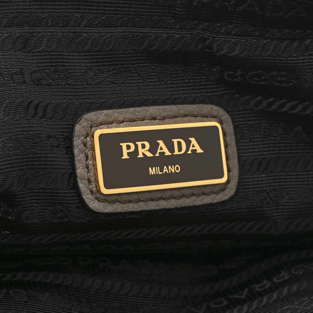 Prada Vitello Phenix Camera Bag Argilla