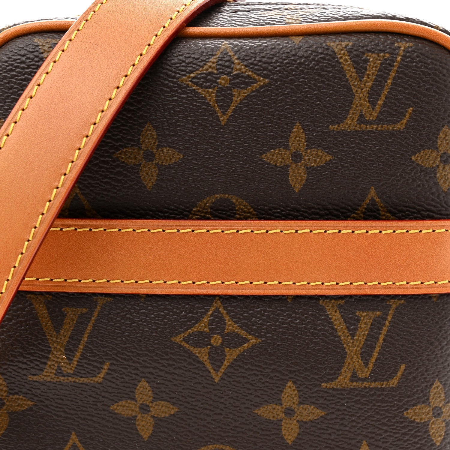 Louis Vuitton Monogram Danube NM