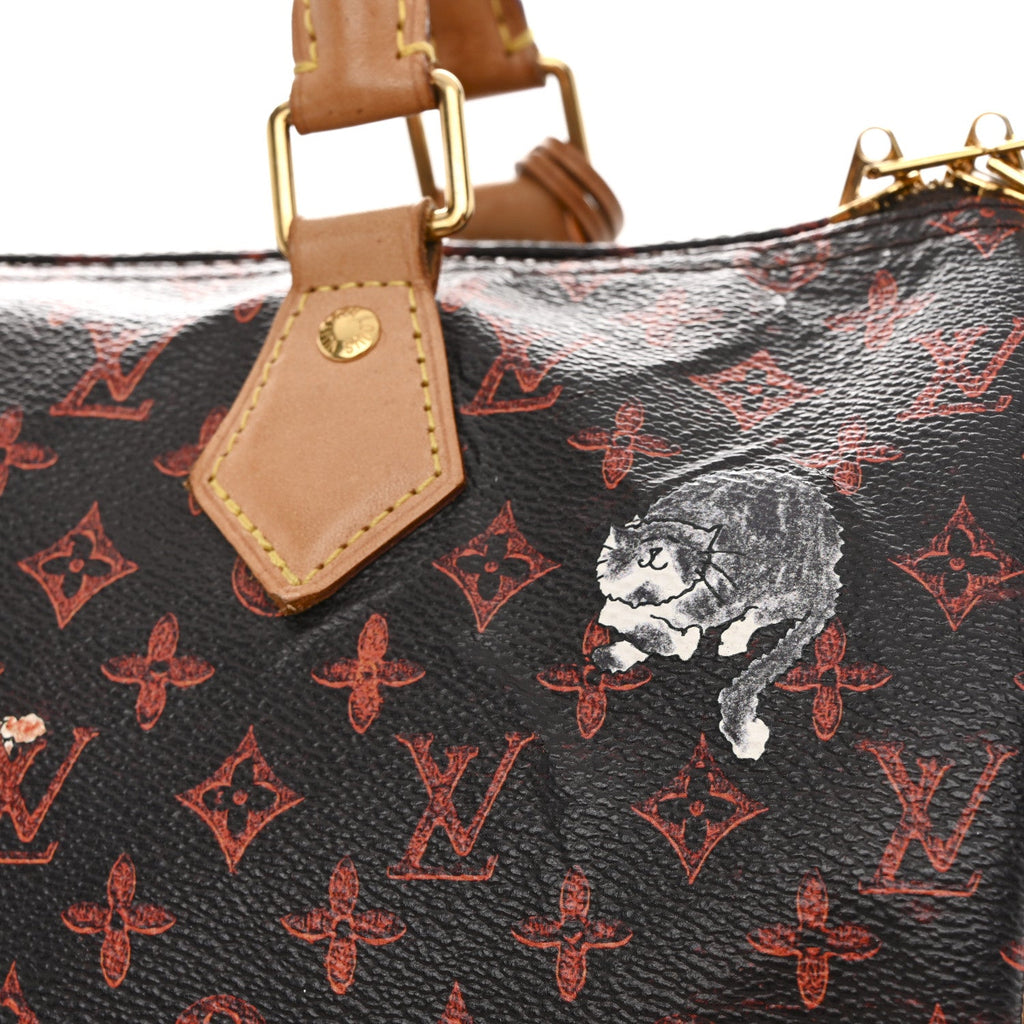 Louis Vuitton Catogram Speedy Bandouliere 30 Marron