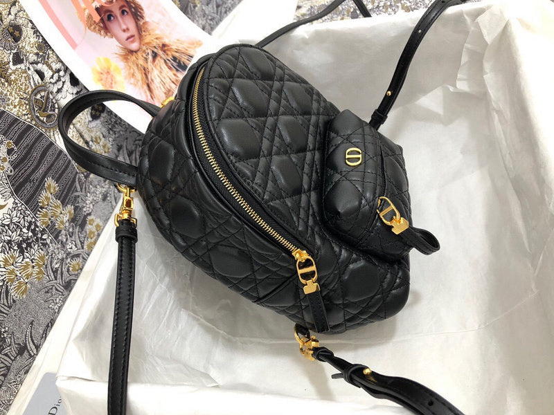 Dior Bag