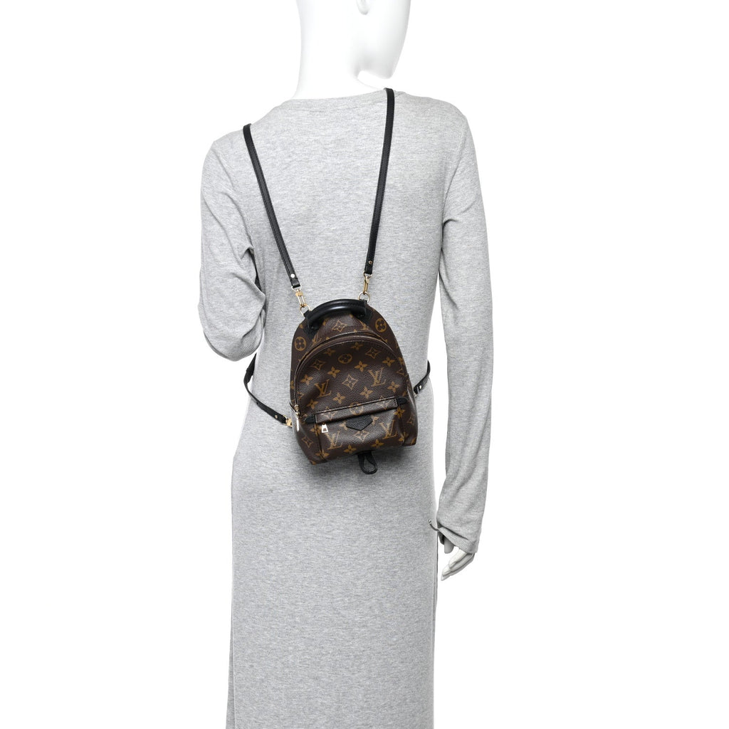 Louis Vuitton Monogram Palm Springs Backpack Mini