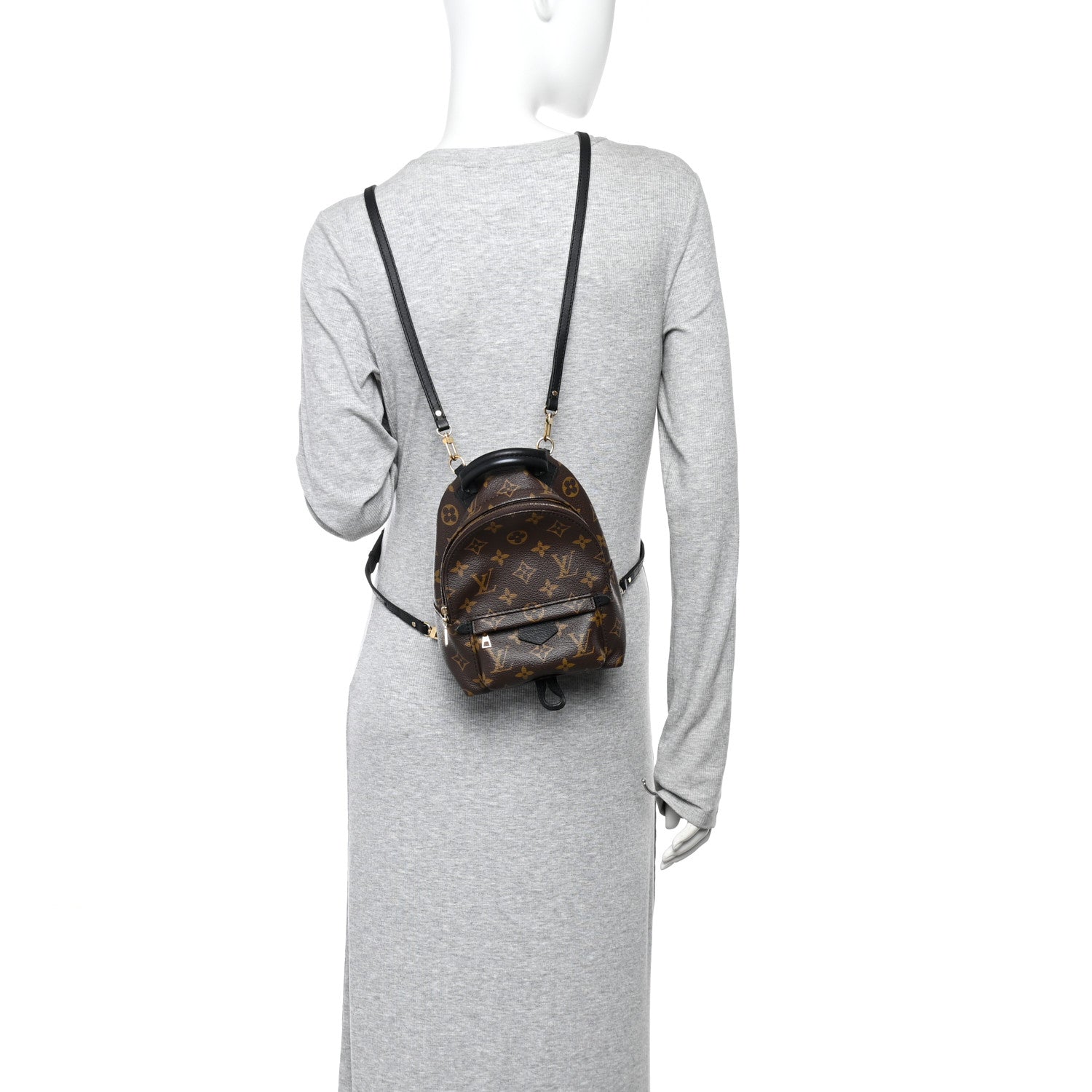 Louis Vuitton Monogram Palm Springs Backpack Mini