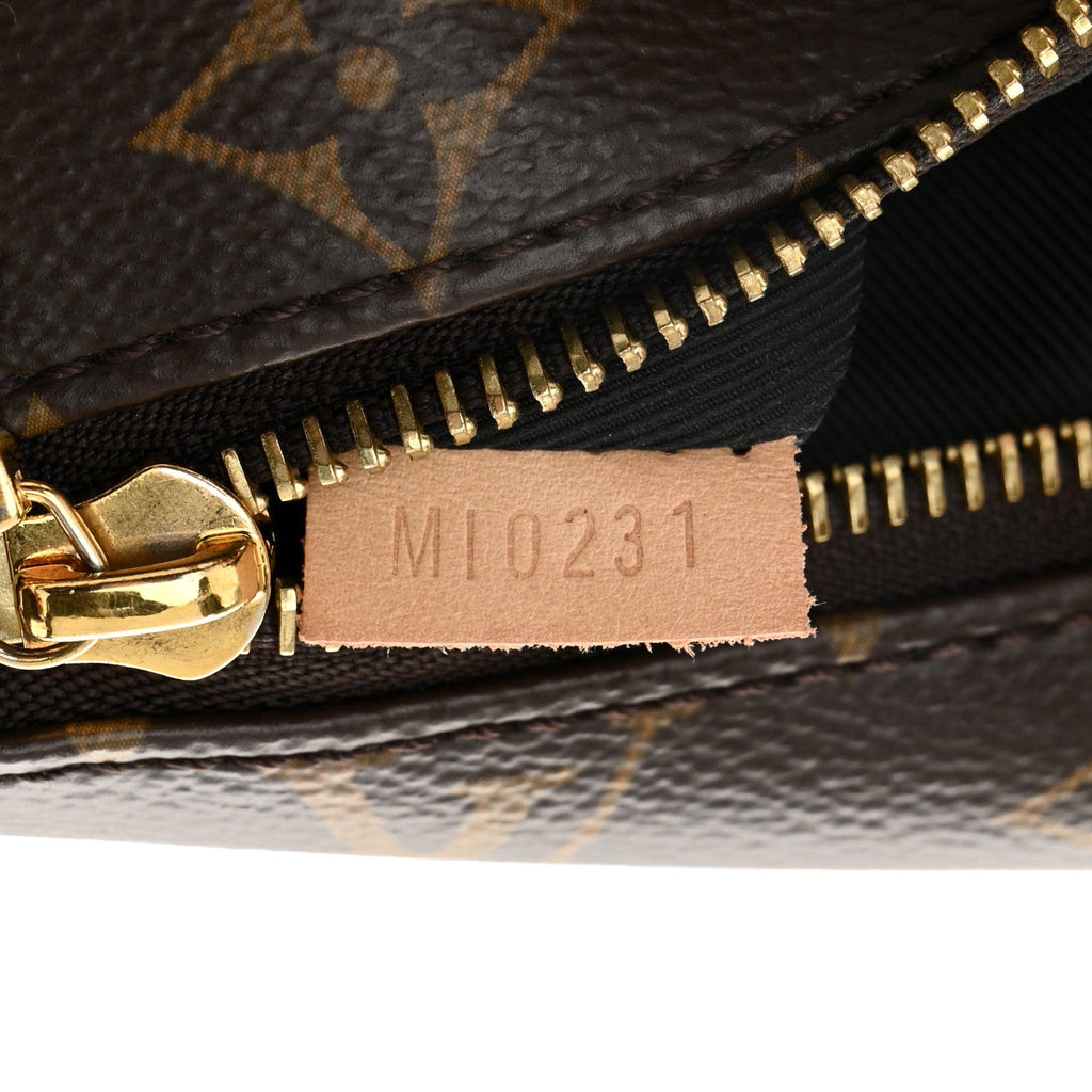 Louis Vuitton Monogram Bumbag