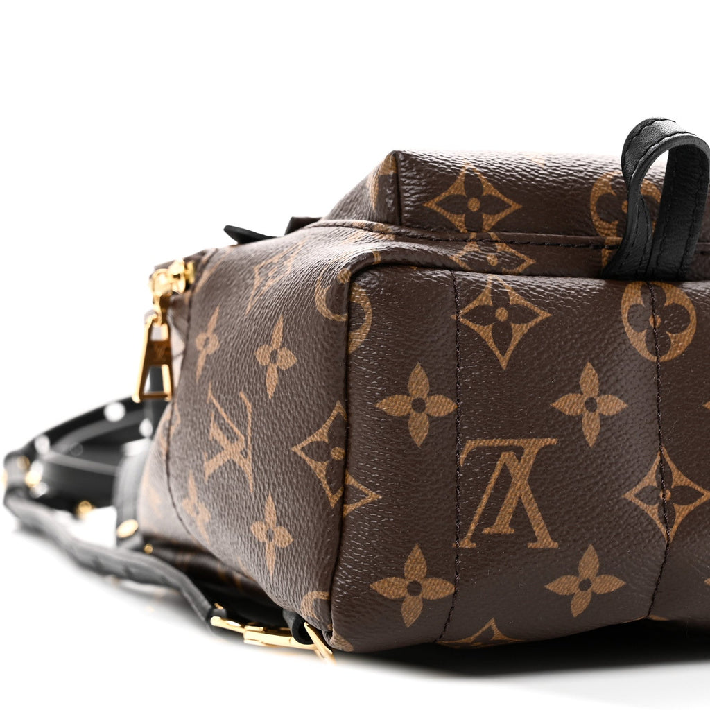 Louis Vuitton Monogram Palm Springs Backpack Mini