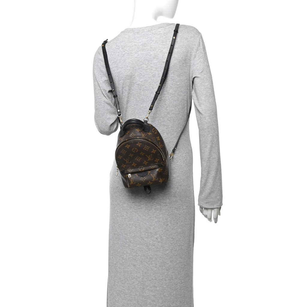 Louis Vuitton Monogram Palm Springs Backpack Mini