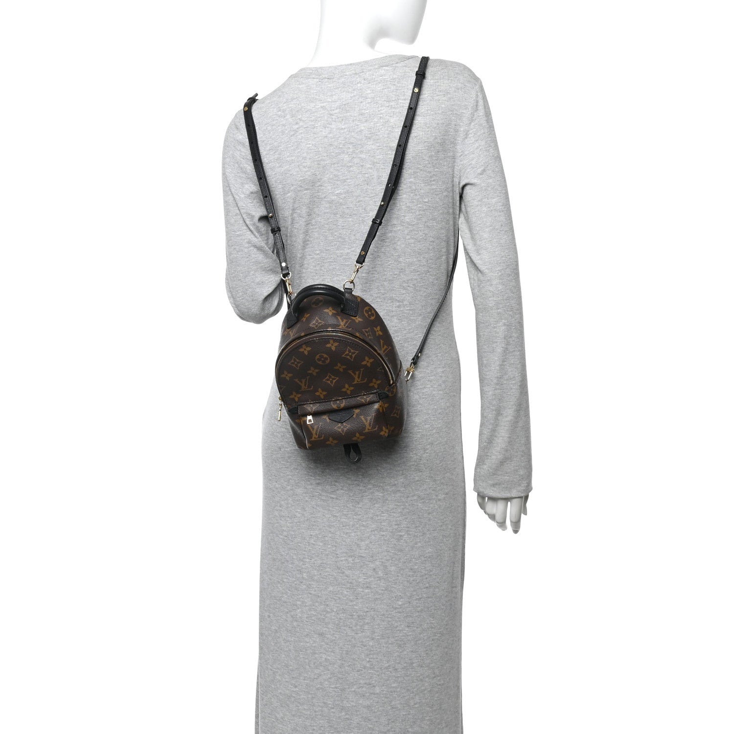 Louis Vuitton Monogram Palm Springs Backpack Mini