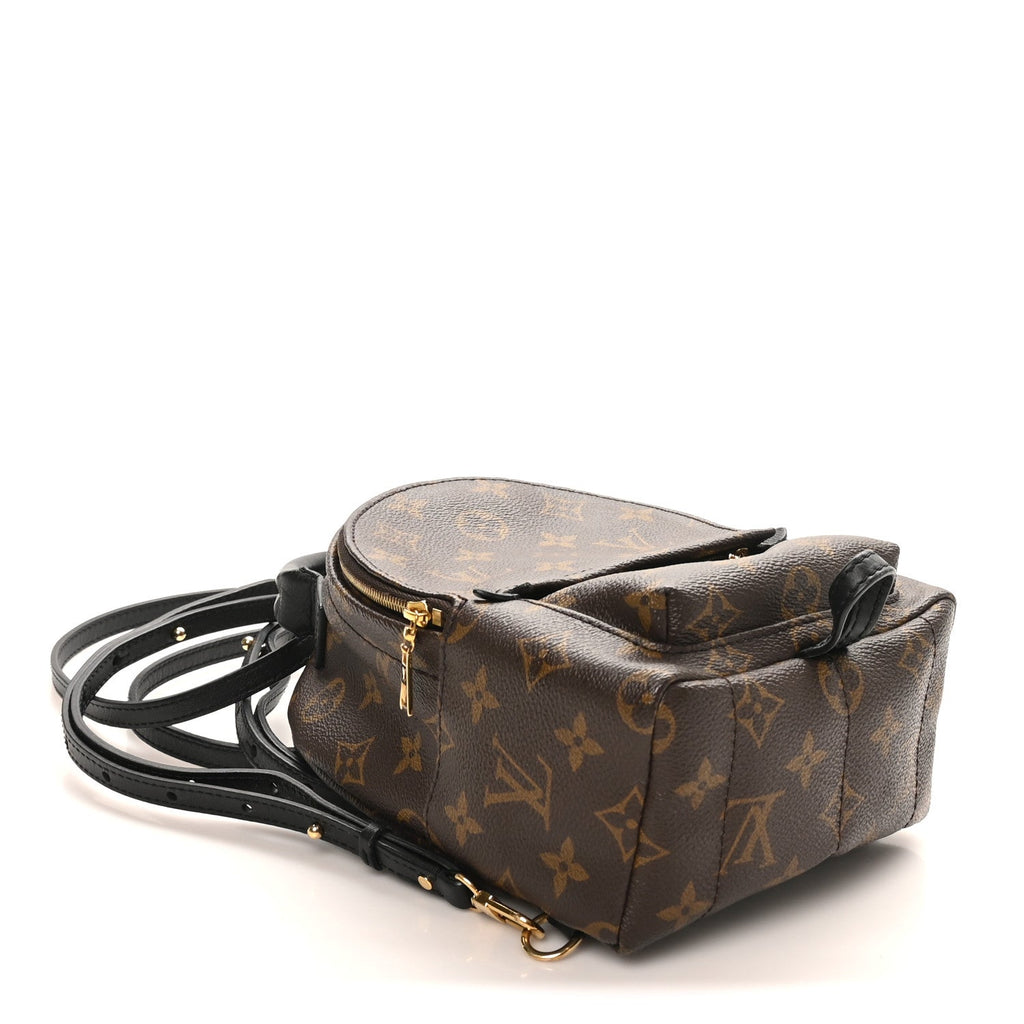 Louis Vuitton Monogram Palm Springs Backpack Mini