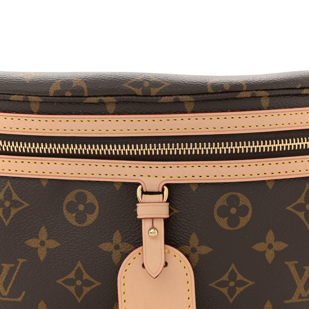 Louis Vuitton Monogram High Rise Bumbag