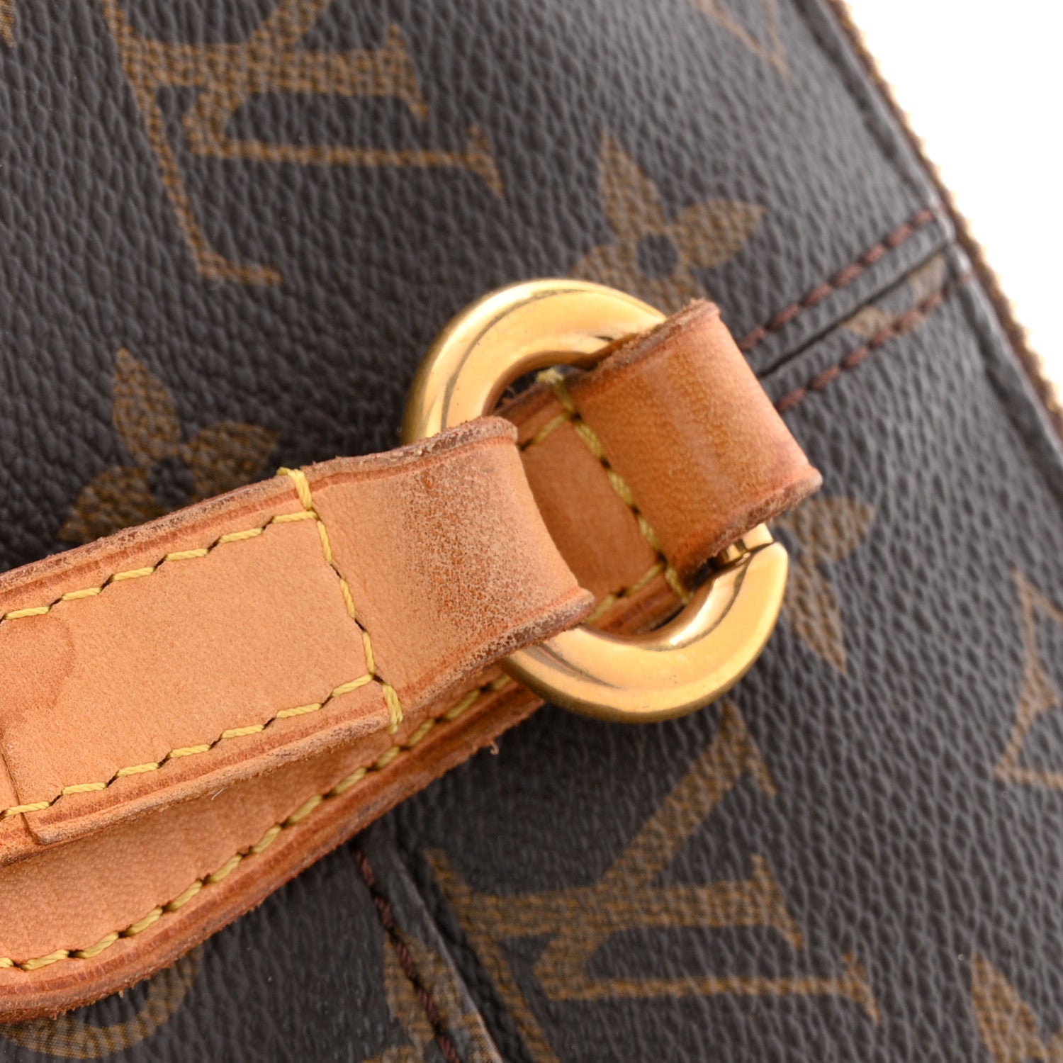 Louis Vuitton Monogram Totally PM