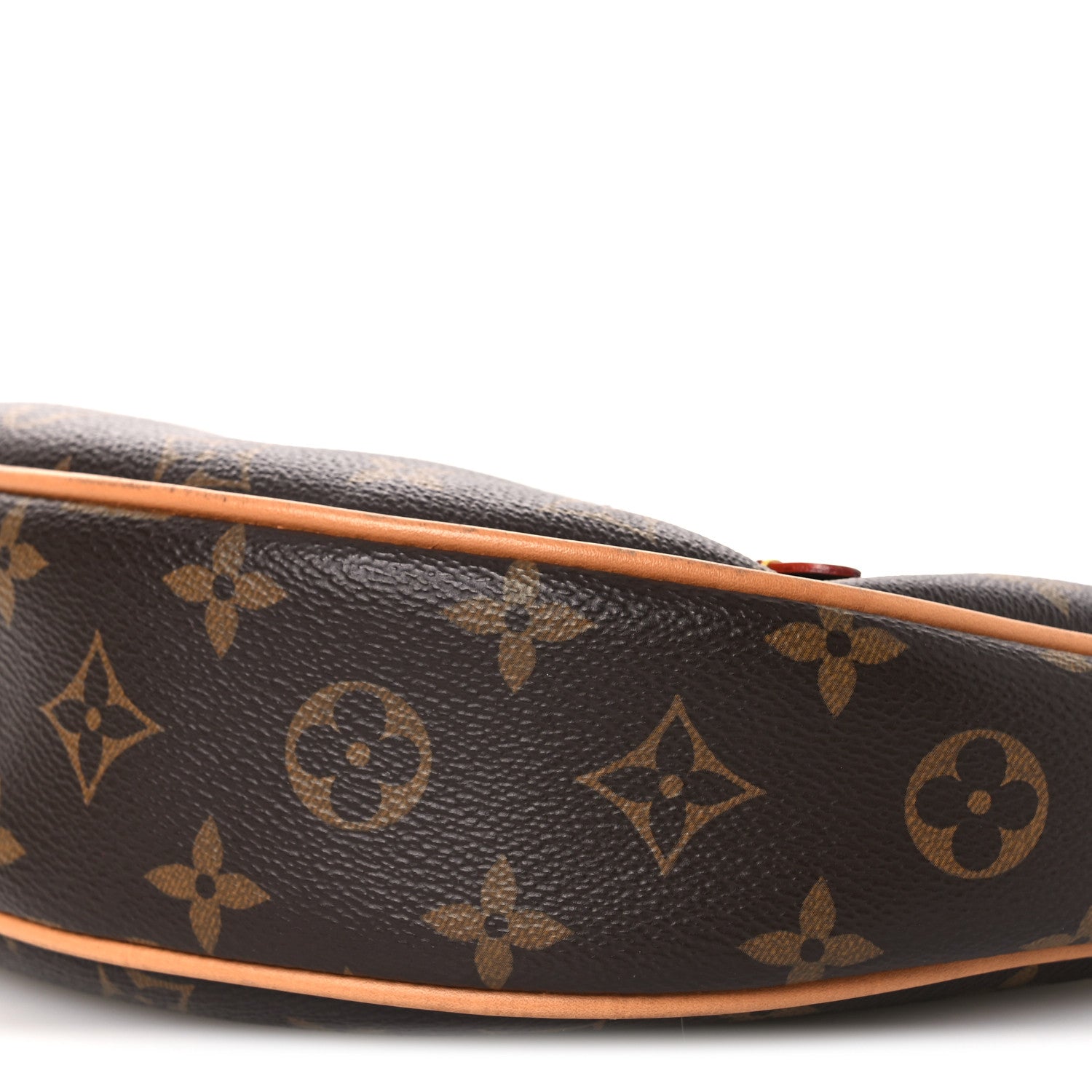 Louis Vuitton Monogram Loop