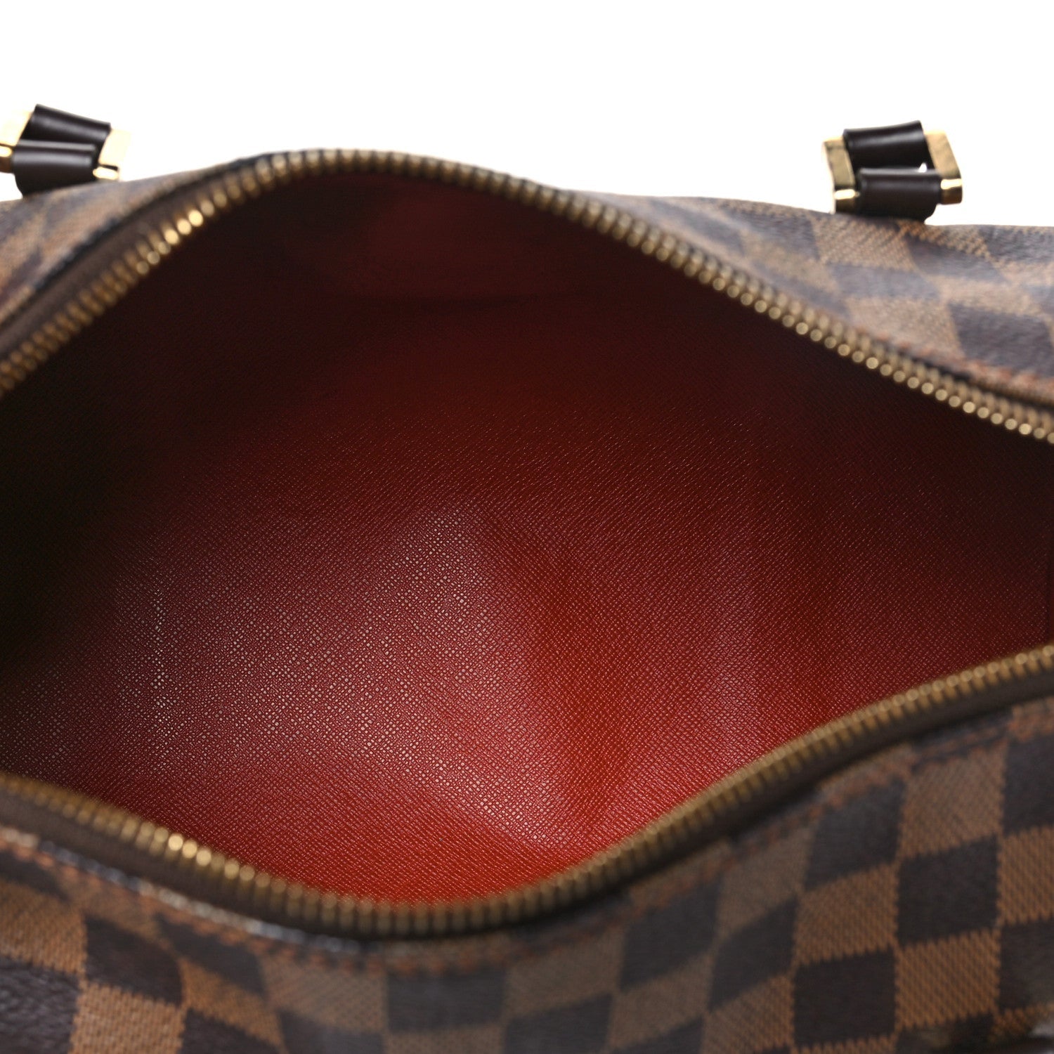 Louis Vuitton Damier Ebene Papillon 30 With Companion