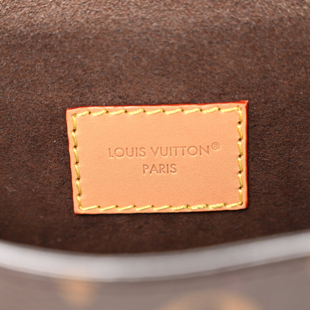 Louis Vuitton Monogram Pochette Camille