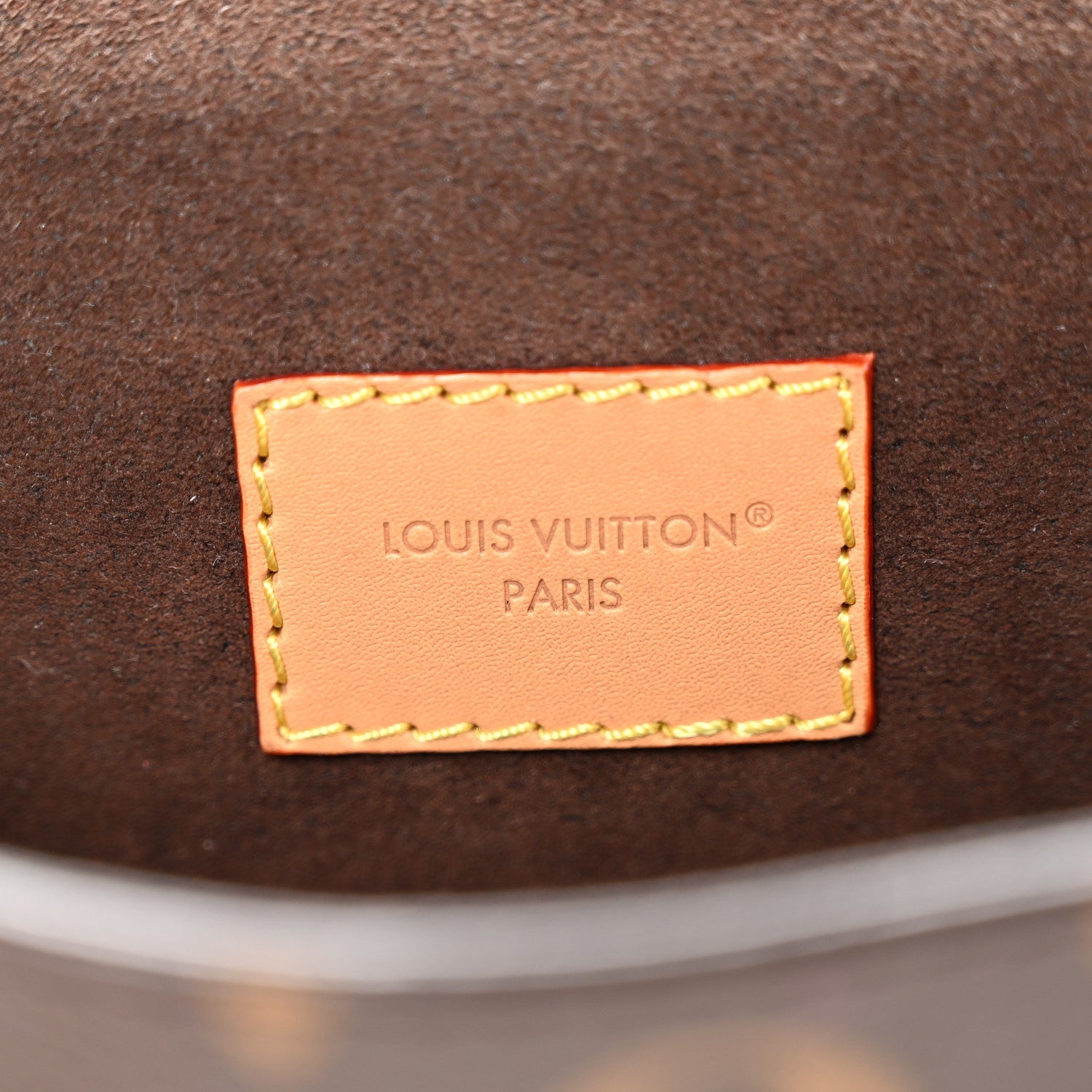 Louis Vuitton Monogram Pochette Camille