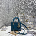 Dior Bags - 480