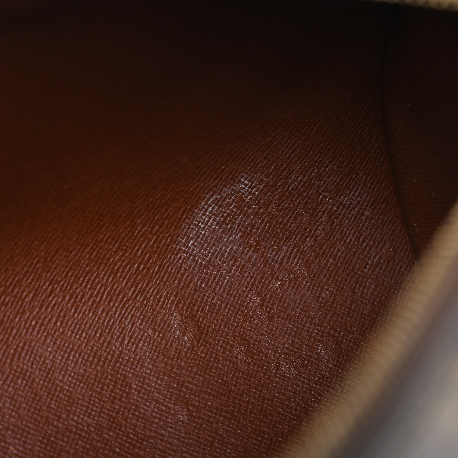 Louis Vuitton Monogram Papillon 30 with Companion