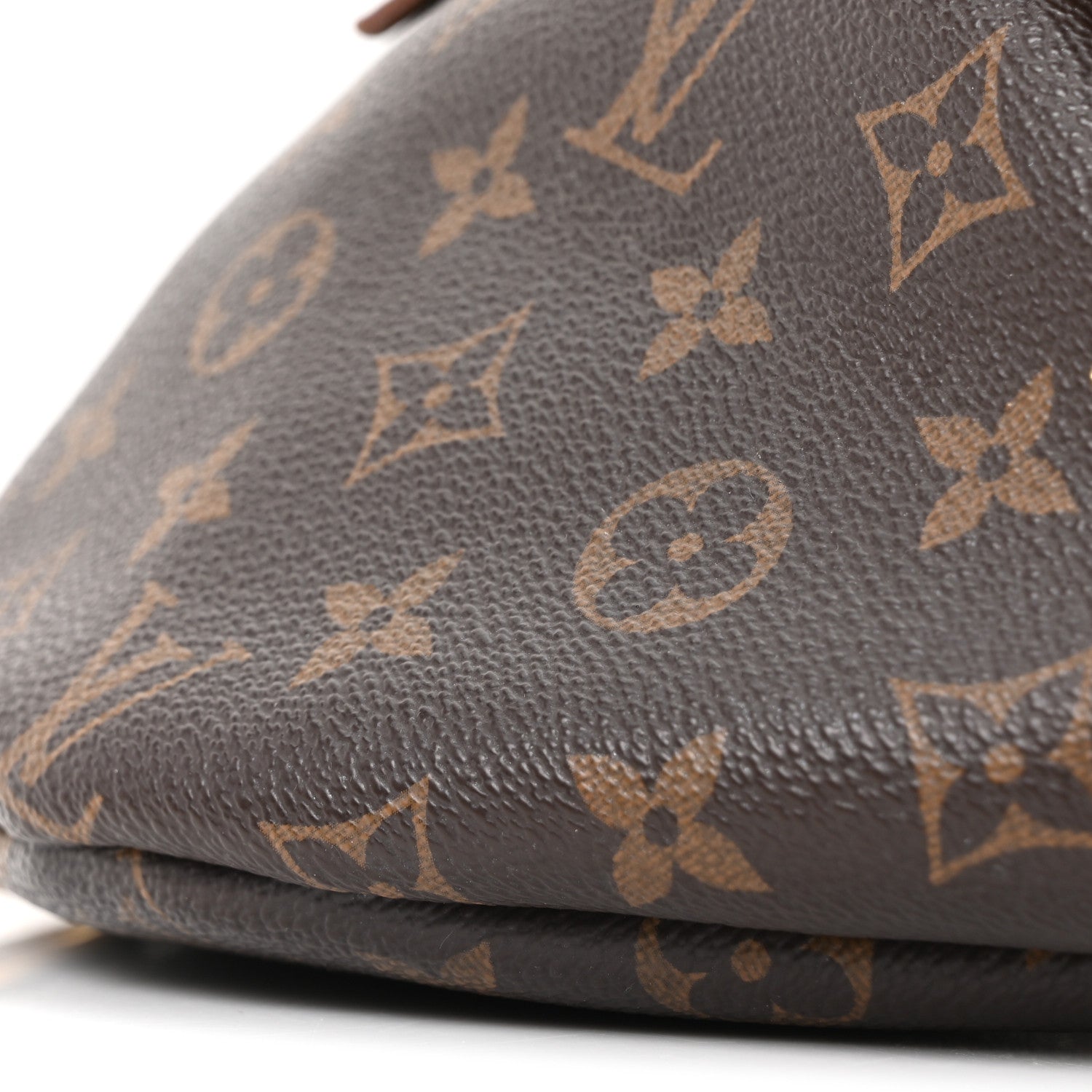 Louis Vuitton Monogram Bumbag