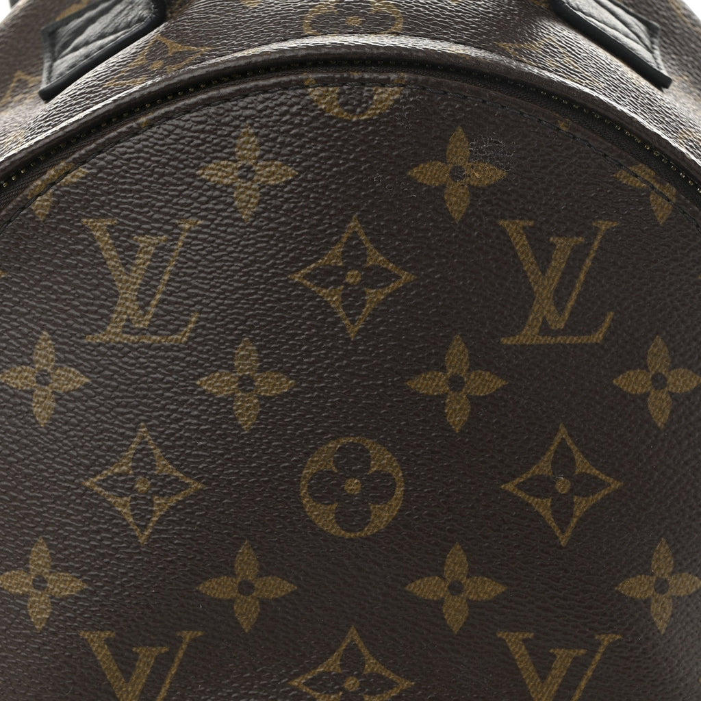 Louis Vuitton Monogram Palm Springs Backpack PM